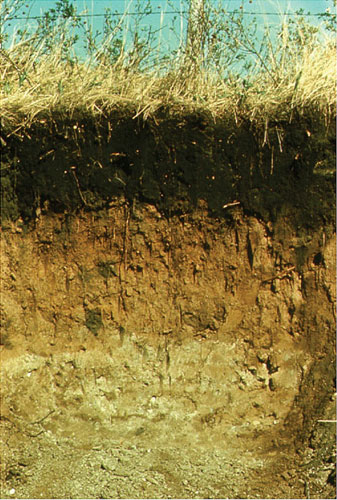 Describe The Layers Of Soil Profile